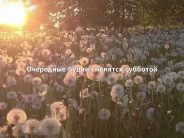 ♪дайте танк(!) – Конец♫ Решила попробовать себя в новом деле и начала потихоньку осваивать айлайт моушен. Аккаунт частенько будет пустовать, поэтому если вам понравятся видео и вы не будете против долгого ожидания, то буду только рада) #песня #эдит #дайтетанк #дайтетанкконец #рекомендации #реки 