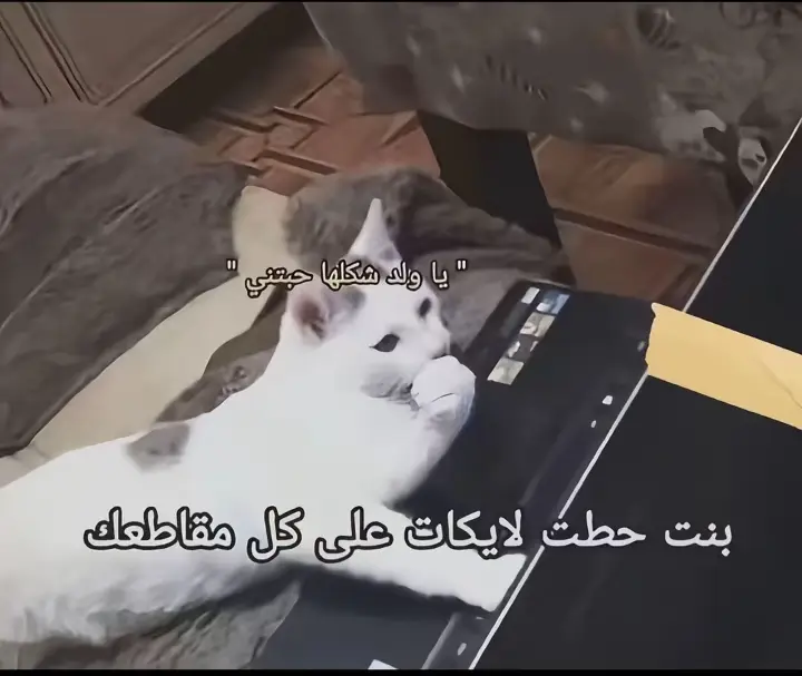 @عباس الاصلي و باقي تقليد😏👆🏿 