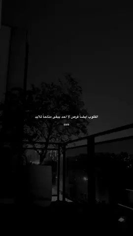 #عبارات #اقتباسات 