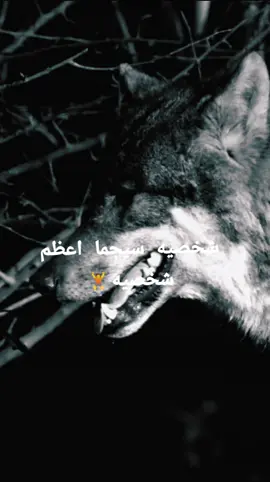 #LIVEIncentiveProgram #LIVEWithLessFollowers #PaidPartnership 