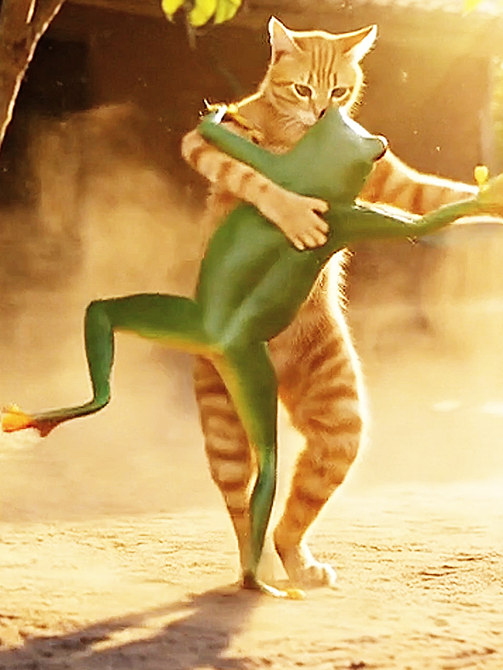 Salsa do Gato e a Perereca😁 #animaisengraçados #salsa #ai #dance #pets 