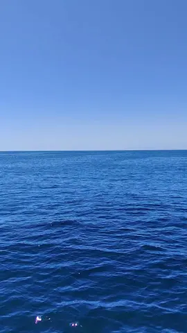 Clásico de oro /agua marina /quiero olvidarte🎸🎶