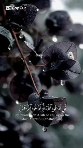 🔸🌱 القران - ادعوا الله، أو ادعوا الرحمن، فبأي أسمائه دعوتموه فإنكم تدعون ربًا واحدًا🌱🔸 #القران #fyp #foryou #foryoupage #vairal 
