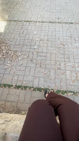 کۆتا سالی زانکۆ کە ئیتر هەموو شتێک و هەموو کەسێک لات شیرین ئەبێت