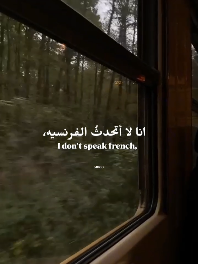★ ‏Je ne parle pas français ★ .  .  .  #fyp #songlyrics #song #germany #Love 