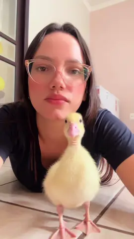 Kkkkk alguém para essa mulher 