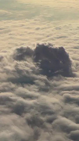 If you see this I’ll wait