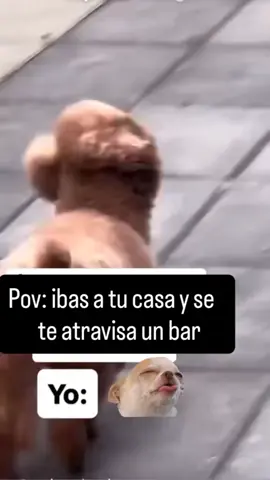 😅 #❤️❤️❤️ #fypシ゚ #paratii 