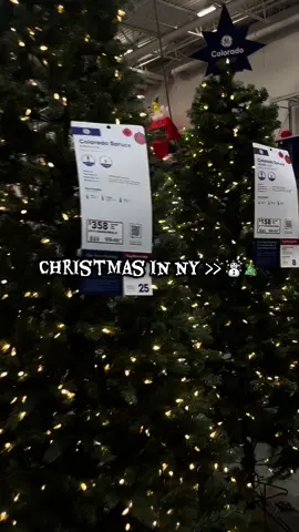 New York here I come 🎄☃️ @Lowe’s  #christmasdecorating #christmasishere #christmasshopping #christmastok #christmasiscoming  @Walmart @target @Marshalls @Johanna Parker Design @At Home @Walmart World @Spirit Halloween @HomeGoods @Hobby Lobby @Burlington @TJ Maxx @Ross Dress for Less 