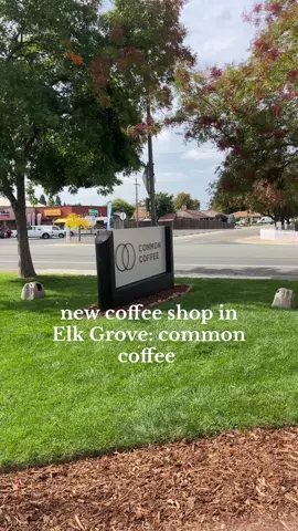 common in coffee grand opening! feat for studying lots of parking and super aesthetic — #fyp #cafe 