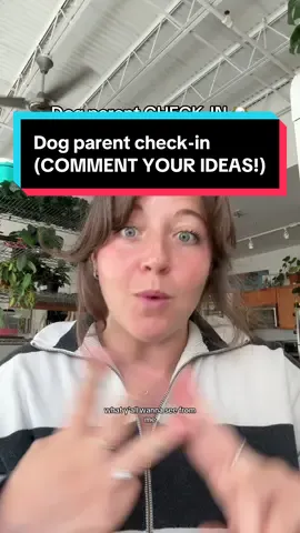 Comment what you want to see from me! #DogTraining #newpuppyowner 