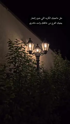#اكسبلور_تيك_توك #مالي_خلق_احط_هاشتاقات #اخر_الليل #مساء_الخير #الباحة 