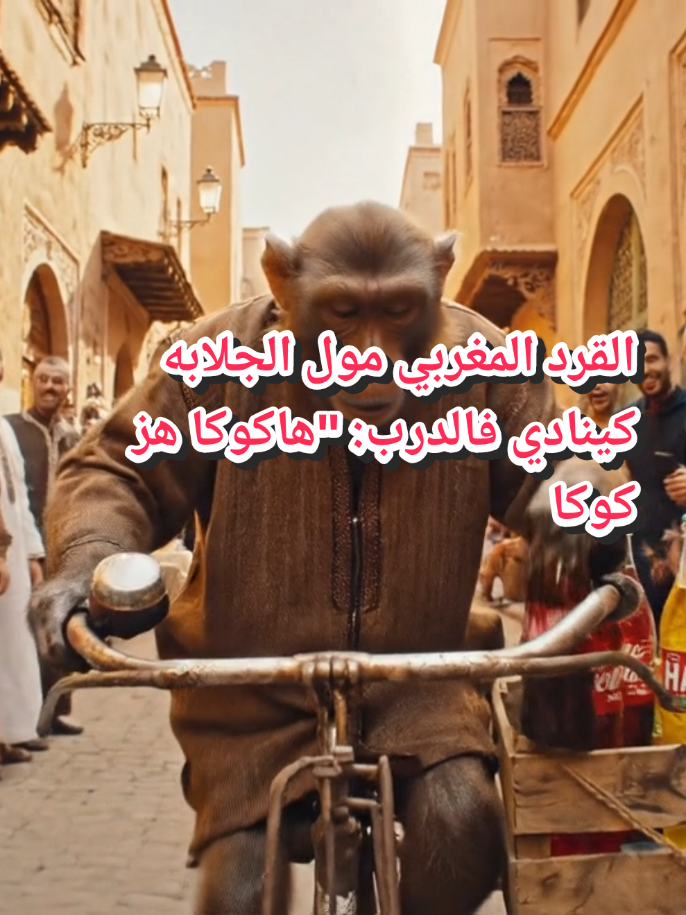 القرد المغربي مول الجلابه كينادي فالدرب: 