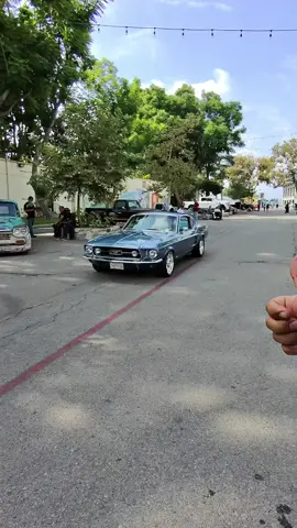 The only car that was let into a truck show 🤷🏽‍♂️ #GrandNational #truckshow #mustangsally 😏