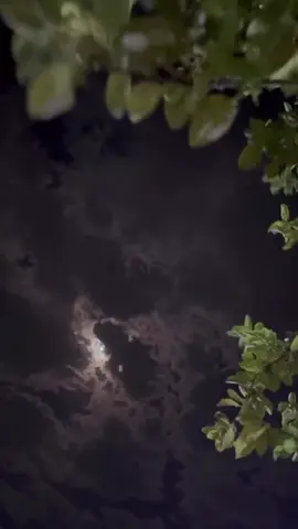 😍🥀 . . . #fypシ #hozankawa #viral #🖤 #🪐