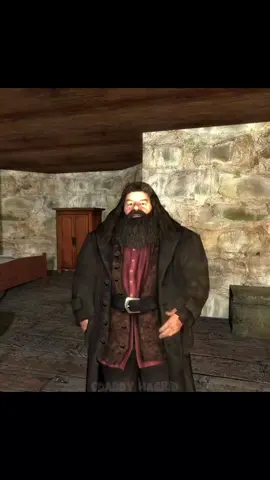 Dobbys New Girlfriend #harrypottermemes #dobby #hagrid #daddyhagrid #harrypotter 