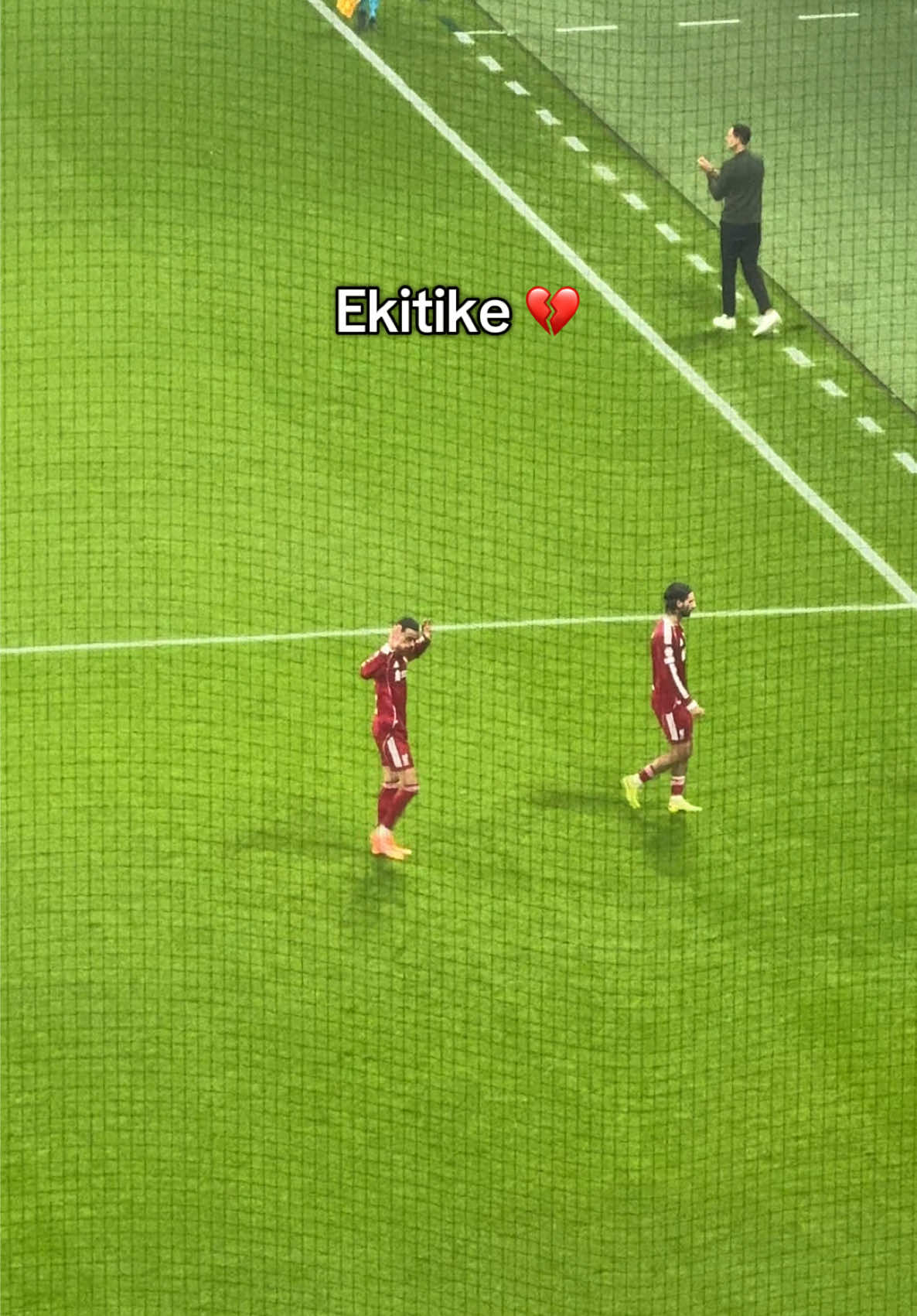 Ekitiké absoluter Ehrenmann 🫡Respect Moments 🙏🏼 #ekitike #liverpoolfc #goal #tor #eintrachtfrankfurt 