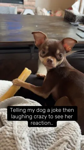 #trending #laughing 