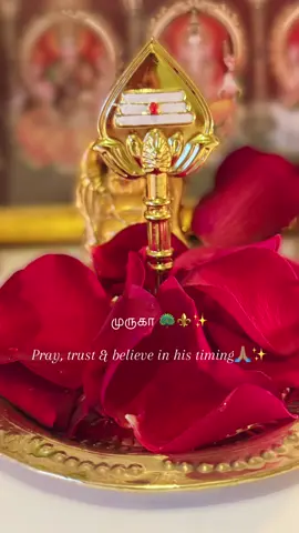 சஷ்டி விரதம் 1 ஆம் நாள்🦚⚜️🙏🏽 #murugan #forupageシ #muruganthunai🙏 #kandasashtiviratham2025 #fyp 