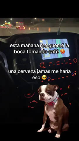 una cervecita jamás me haría algo así tan feo,#fyp #humor #me_sigues_y_te_sigo #risas #Meme 