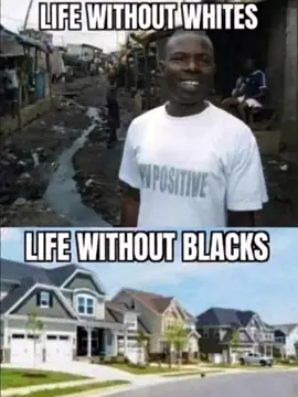 DNA 🧬 is deeper then sk|n c0L0R.  It’s like comparing cathedrals to mud huts.