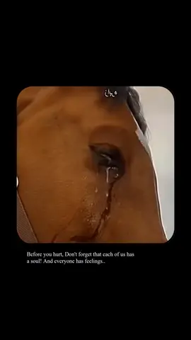 #onthisday #foryou #foryoupage #viral #trending 