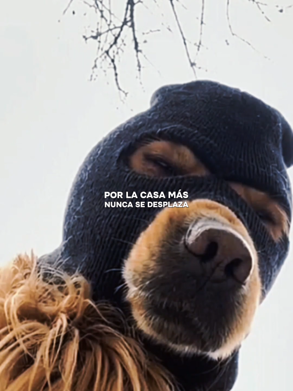 Neutro - Liomar masacre 🎵 #neutro #music #playlist #paratiiiiiiiiiiiiiiiiiiiiiiiiiiiiiii 