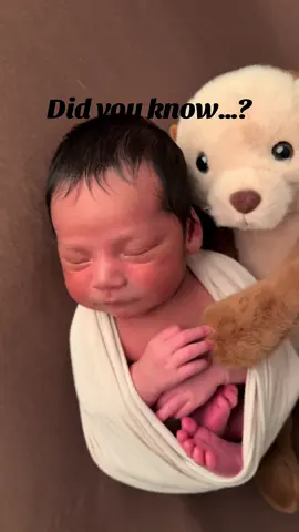 …and they’re so cute while doing it! 🤎 #otters #newbornphotos 