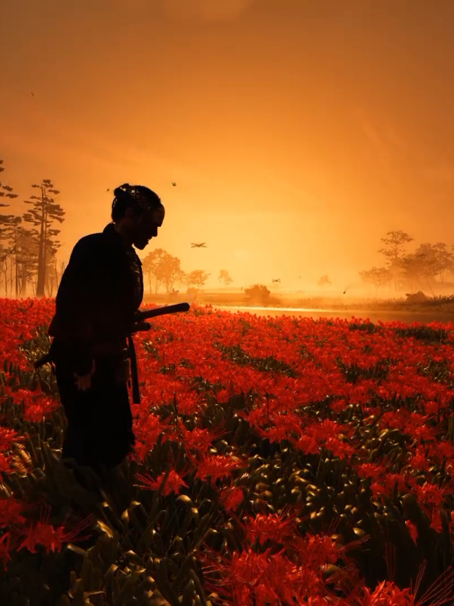 🌪️Wind Stance🍃 #ghostoftsushima #goat🐐 #samurai #japan #ghost 