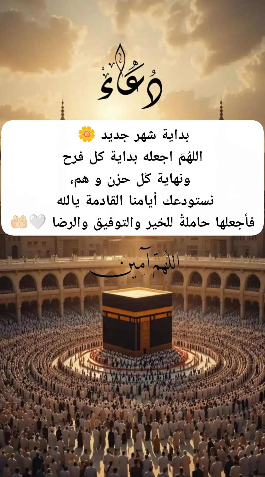 #دعاء #بداية_شهر_جديد #يارب_فوضت_امري_اليك #قران #يارب 