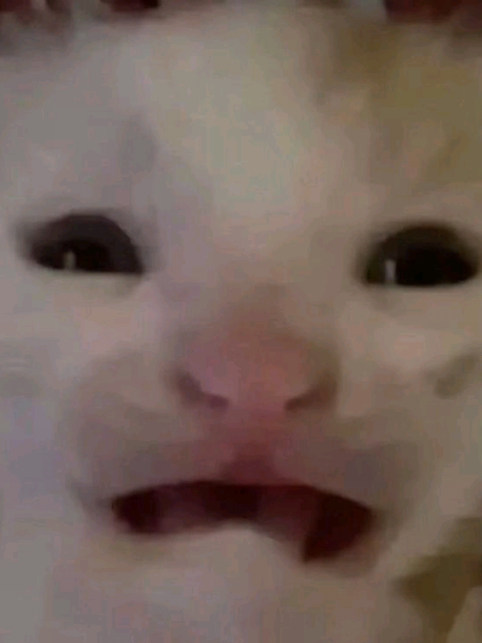 Форсакен убивает психику  #pov #агро #roblox #forsaken #разборка #fyp #рек #форсакен #мозг #сгнил #помогите #рил #вреки #роблокс 