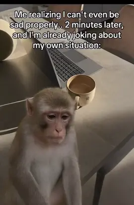 #FilmoraGoVideoEditor&Maker 