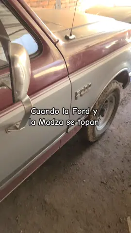 creo que se llevan muy bien jajaja, na mentira si pudieran hablar creo que si se insultarian  #humor #fpy 