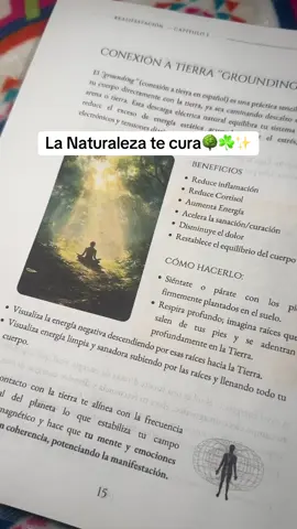 La naturaleza es tu medicina 🙏🌳🍃✨ #limpiezaenergetica #naturaleza #bienestar #realifestacion #energiapositiva 