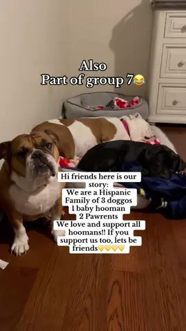 Group 7 peeps where are you at? #group7 #dogpeople #dogtok #bulldogs #bulldogsoftiktok 