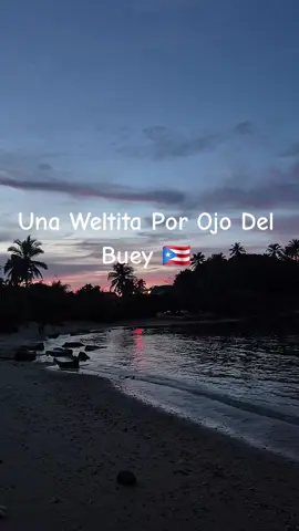 #puertorico #ojodelbuey #travel #hiddengems #placestovisitinpr 