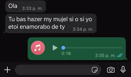 Aprende a escribir primero y luego enamore  por chat 😔🤣#audiodewhatsapp #viraltiktok #viral #umor #audios 