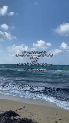 📚🌱 #توحيد #قرآن #سلفي #تغطية_الوجه_واجبه 