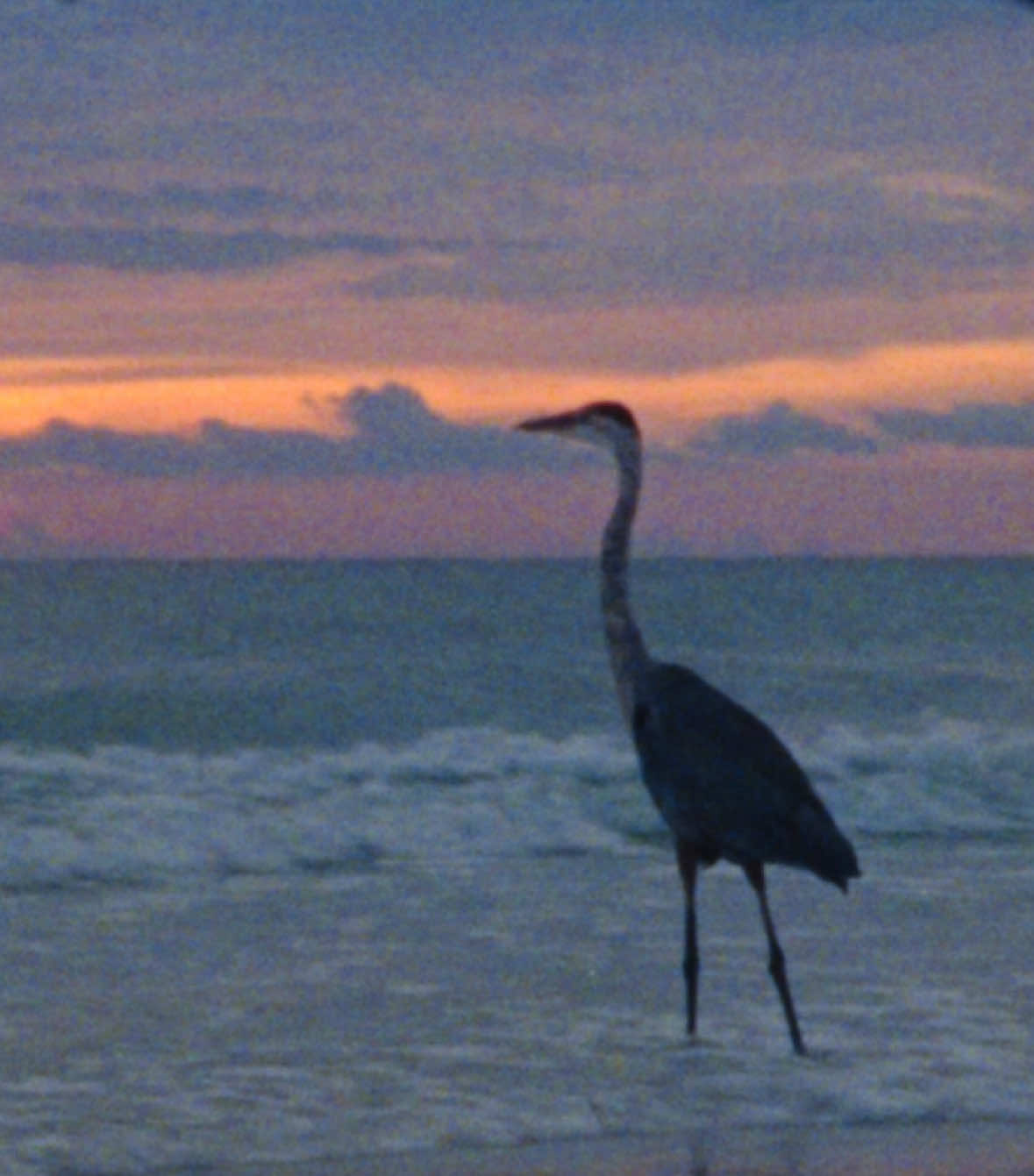 You’re okay. #SelfCare #super8 #filmtok #cinema #advice 