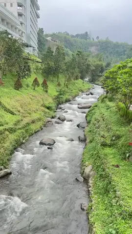 #اندنوسيا #بونشاك #pyf #explore 