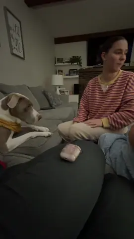 Who do you think is his favorite?😂  #dogsoftiktok #ilovemydog #fyp #foryoupage @laurenn🌸 