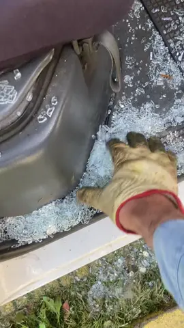 Mi palomita :(.  Como 20 años haciendo lo mismo y pasa esto 🥲 #jardin #trabajador #malasuerte #stihl #huasochileno 