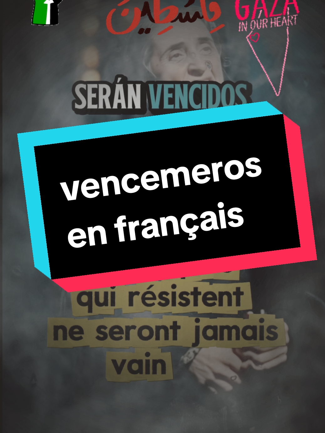 vencemeros en français  #vencemeros #espagne #palestina #palestineفلسطين #algeria #tunisia #france #gaza #fly #traduitenfrancais 