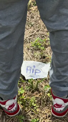 Chao !🥱#tiraderas #rip #fyp #pyfツviral_❤ #venezuela 