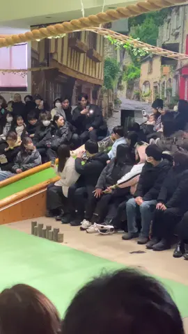 #那須どうぶつ王国#猫