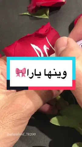 منشنوا يارا 🎀🏃🏻‍♀️🏃🏻‍♀️@يارا _yara @يارا MBS @يارا 💕 @يارا ✨ @يارا القحطاني @يارا السحيميّ @يارا الرشيدي @يارا 🇸🇦🇸🇦 @يارا الشافعي⭐️🎤🔹 @يارا شوقي 🖤🔥 @يارا الراجحي 🇯🇵🇸🇦 @yro🦄 @