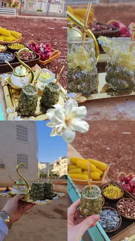 قلبي ياربّ أملئهُ بالإمتنان في كُل حال 🤍.