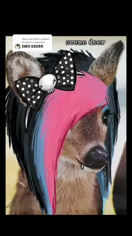 Replying to @Brian’s plastic flowers ok im only doing like  3 more animals for today and ill do more tomorrow  #scene #scenehair #scenefurry #fyp