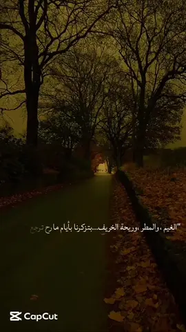 #الخريف#مطر#زكريات_فصل الخريف#فيديو_هادي#حنين_حزن