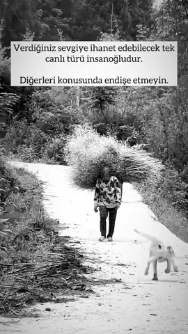 (KeNan K)